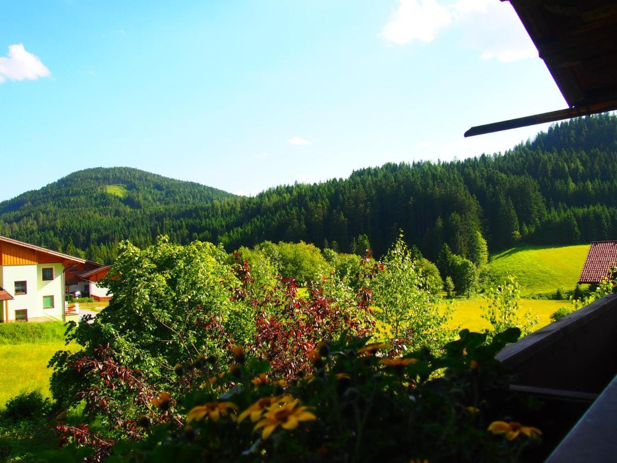 Appartment Kainhofer Sankt Martin am Tennengebirge Exterior photo